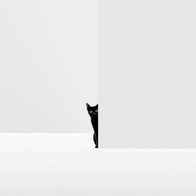 Scheaffer Okore's profile picture