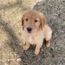 Jake 的头像