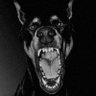 Profilbild von Jerdarius “JD” Young