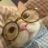 Cynsical's profile picture