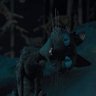 Фото профиля nope