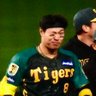 Фото профиля 豪快なホームラン打ってくれ!輝!