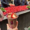 Safa 的头像