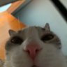 Joinha profil fotoğrafı