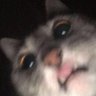 Profilbild von nn34