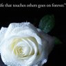 Фото профиля TheyAllDied20