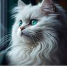 Profilbild von fuzzy bookworm