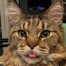 Profilbild von TEO_72