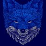 Фото профиля Fred🦊