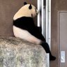 Profilbild von E_panda