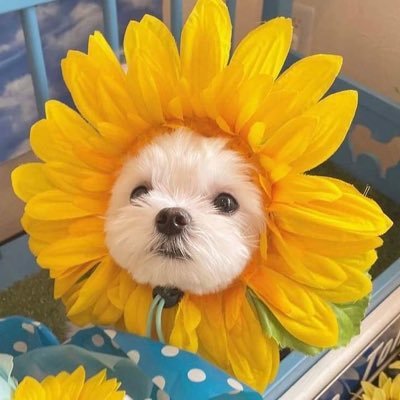 308_nan's profile picture