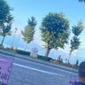 Hassy Radi profil fotoğrafı