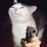 Crazy Cat Lady That Loves to Meme's profile picture