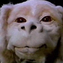 Kirk Henderson's profile picture