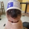 Profilbild von Retro