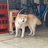 あ's profile picture