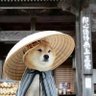 Changjiguang's profile picture