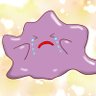 motoki's profile picture