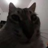 ً's profile picture