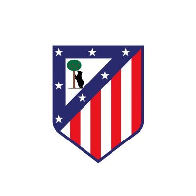 Atlético de Madrid 🇮🇩's profile picture