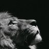 Фото профиля The introverted extrovert 🪐🪐