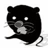 まよえるねずみ's profile picture