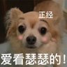 我跟你说正经的 profil fotoğrafı