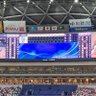 おれ/怪盗's profile picture
