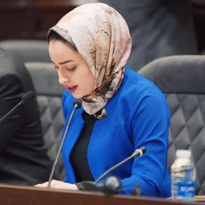 NoorNafeaAli's profile picture