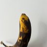 Фото профиля BadBanana