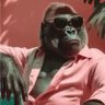 Profilbild von reginaldo de morais