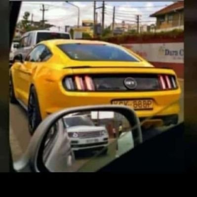 kush_deh's profile picture