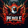 GTM | PEagle profil fotoğrafı