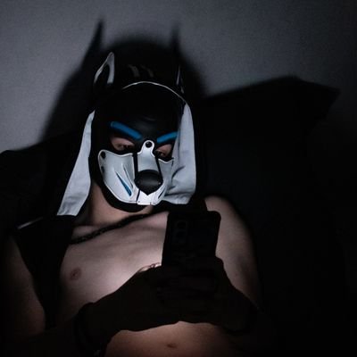 pup Tommy's profile picture