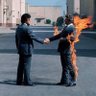 Stop,drop, and roll's profile picture
