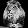 Фото профиля FayVoh Pride
