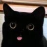 MeowMeow1019 的头像