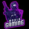Moula Gaming's profile picture