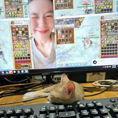 DoHi🐭 Ⓜ️Ⓜ️T's profile picture