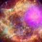 Space Alabama's profile picture