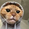 Antoliano's profile picture