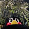 はまー's profile picture