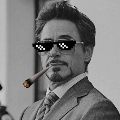 lohpurush_stark's profile picture