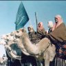 الأسطى's profile picture