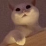 Profilbild von parker