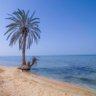 Profilbild von KUWAIT