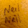 neil harrison profil fotoğrafı