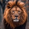 mushambo profil fotoğrafı