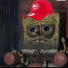 Profilbild von SUCCULENT-37