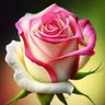 المستشار حسن المطيري's profile picture